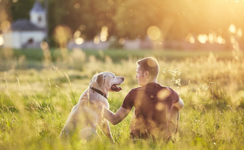 Tips for Keeping Your Dog Free from Tick-Borne Diseases