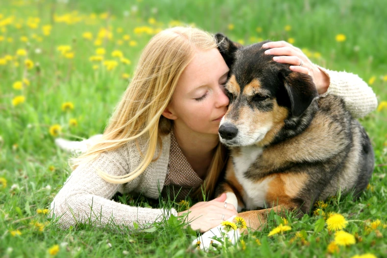 A Guide to Managing Hip Dysplasia in Your German Shepherd.